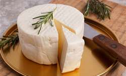 Chr. Hansen lança novas culturas starter para uso em queijos brancos