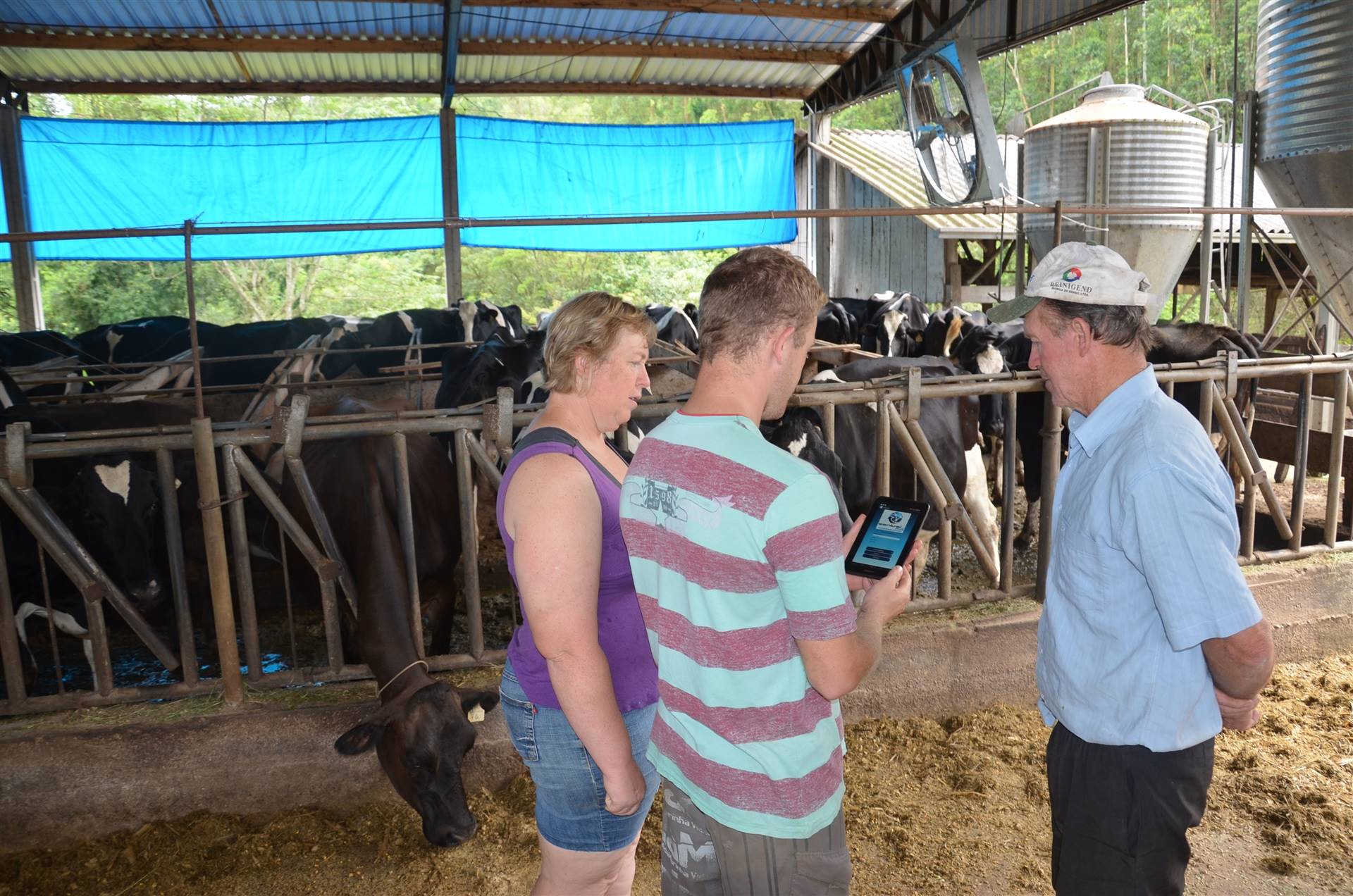 População rural envelhece e jovens são minoria no campo