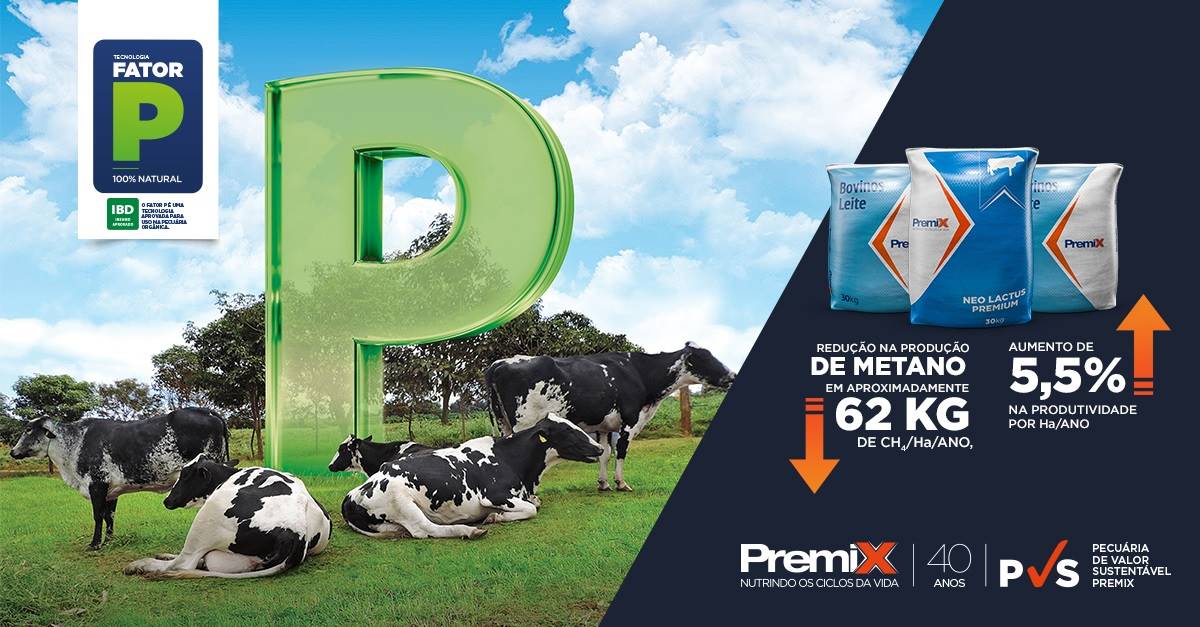 Com assessoria técnica da Premix, Fazenda Velha aumenta produtividade de leite/ha em 5,5% em um ano