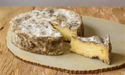 Vacas Gir, caves subterrâneas e a produção de queijos da Pardinho Artesanal