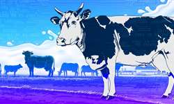 Melhorando a reprodução de vacas leiteiras e mantendo alta produção de leite - Parte 1