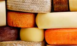 Para preservar o sabor, queijo Comté proíbe robôs de ordenha