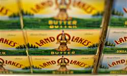Land O'Lakes lança nova forma de apresentação de manteiga nos EUA