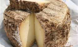 Madeira: um possível ingrediente dos queijos?
