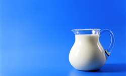 Everton Carbone: Instrução Normativa 62 é desafio para o setor de leite
