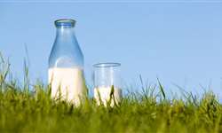 Gerenciamento associado à assistência técnica público-privada e a rentabilidade do leite