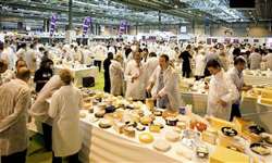 Rapidinhas lácteas: cursos, prêmios e outras novidades do mundo queijeiro