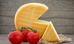 Japão: fabricantes de queijo temem acordo comercial com a UE