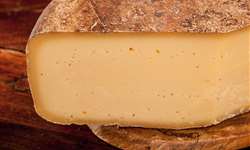 Batucada de comté para descobrir defeitos no queijo francês