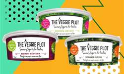 The Veggie Plot: iogurte grego salgado chega ao mercado britânico