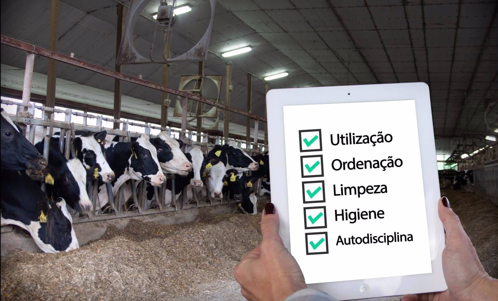 8 erros comuns que podem comprometer a implantação de um programa 5S