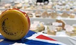 Mais de 3 mil queijos no maior concurso de queijos do mundo