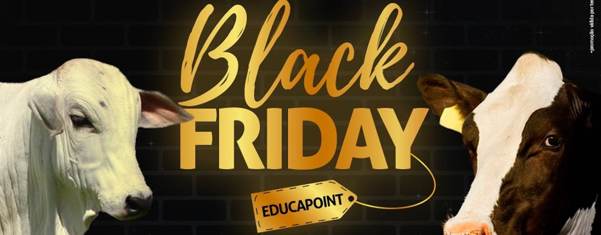 Black Friday do EducaPoint: Acesse todo o conteúdo com um desconto exclusivo!