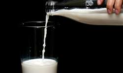 Reino Unido: pesquisa revela que 7% do leite é desperdiçado devido a TºC das geladeiras