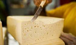 Após análise, metade das amostras de queijo coalho está imprópria em Fortaleza/CE