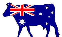 Mudanças e seus impactos no agronegócio do leite na Austrália