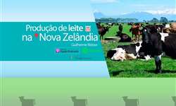 [PointCast #13], Guilherme Ristow: a produção de leite na NZ de 'fio a pavio'