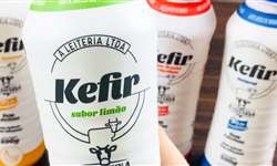 Kefir: inovando no mundo lácteo, A Leiteria chega no mercado
