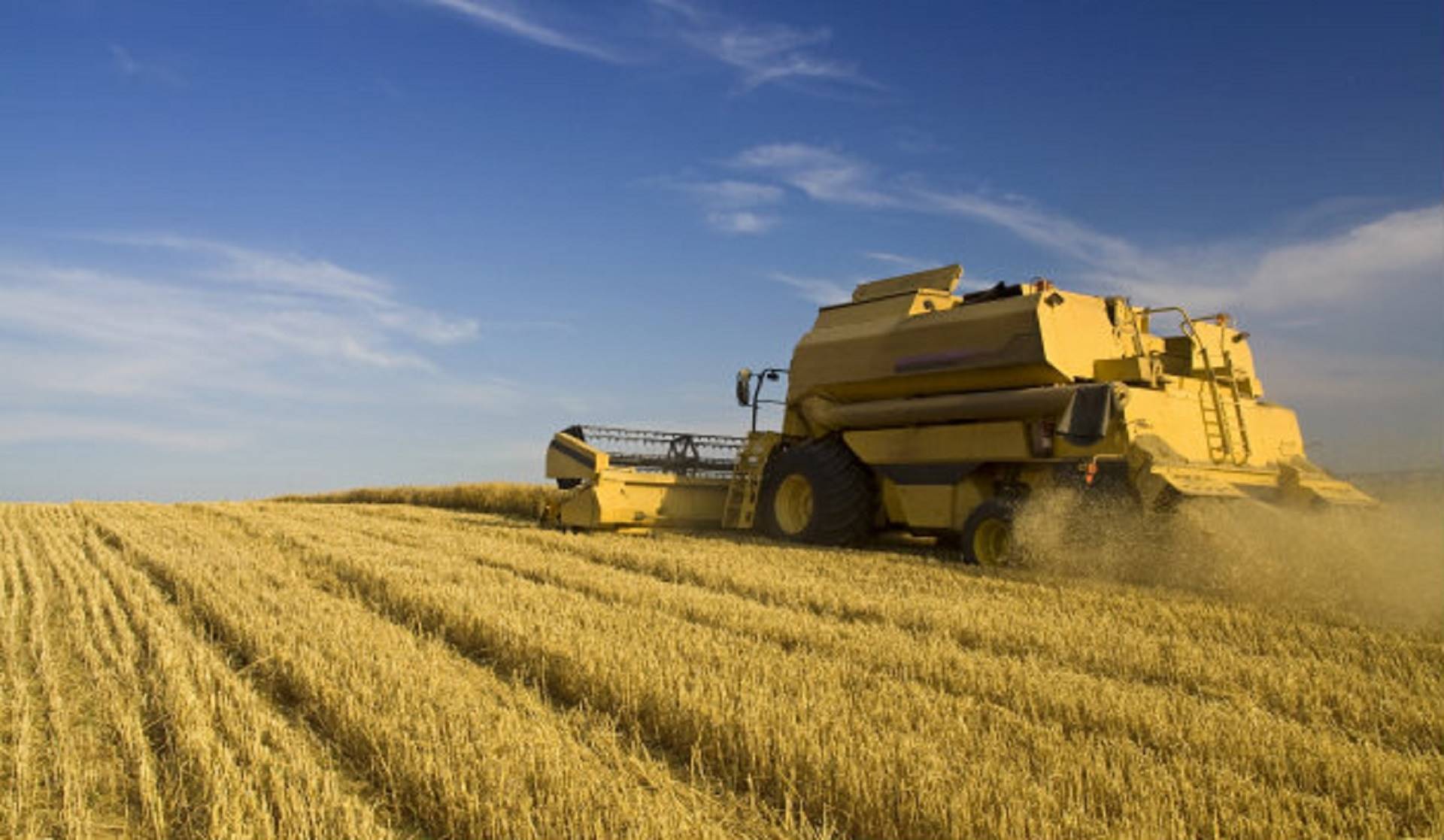 Ministra da Agricultura quer multas pesadas a quem fraudar autoinspeção nas agroindústrias