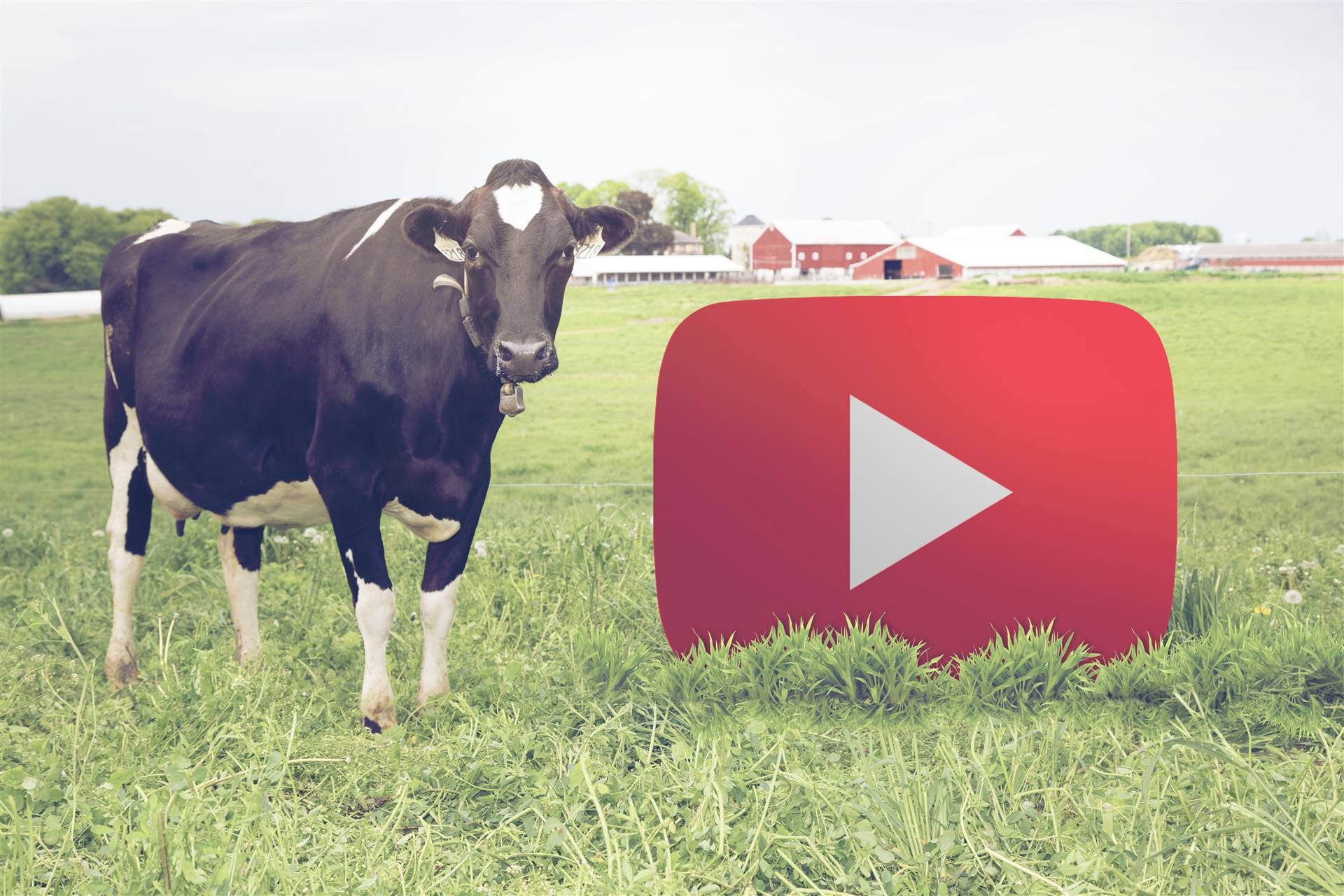 Novidade: EducaPoint lança canal no YouTube