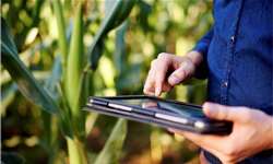 Vendas on-line de máquinas agrícolas cresceram 36% no 2º semestre de 2018