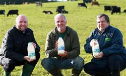 Pequenos produtores de leite: a união melhora a matéria-prima produzida