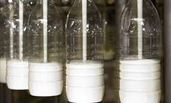 Balança Comercial de fevereiro: Brasil exporta mais leite do que importa