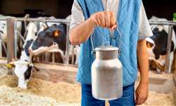 Checklist: Como melhorar seus indicadores de qualidade do leite