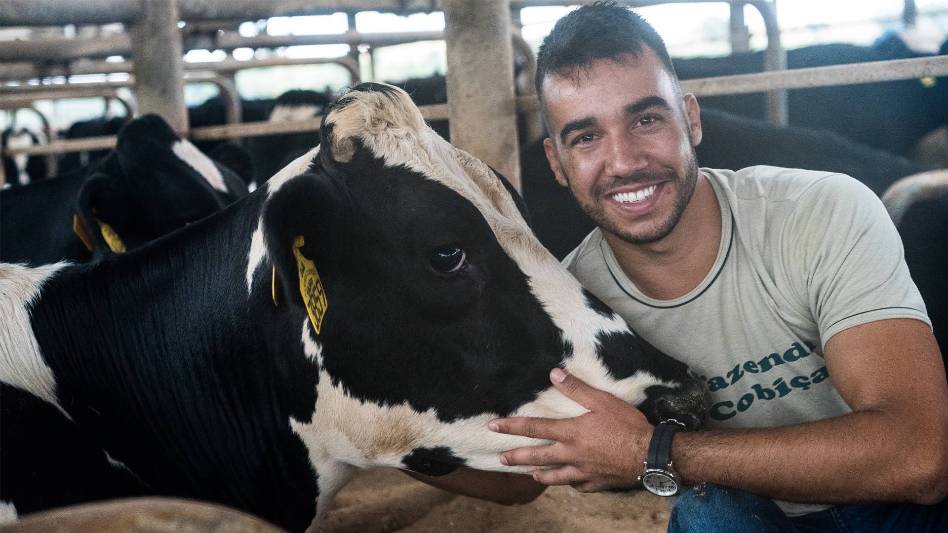 Entenda como Velactis auxiliou na redução dos casos de estresse na fazenda Cobiça (MG)