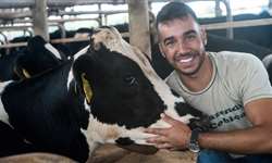 Entenda como Velactis auxiliou na redução dos casos de estresse na fazenda Cobiça (MG)