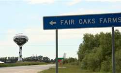 Caso Fair Oaks Farms: maltrato de animais em fazenda gera indignação nos EUA
