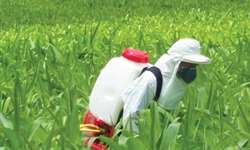 Uso de herbicidas em pastagens