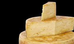 82 queijos de leite cru participam de concurso na Bélgica