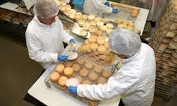 França: 10 preparações do concurso de melhor queijeiro do mundo