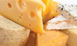 Produção brasileira de queijo tem futuro incerto com acordo entre Mercosul e UE