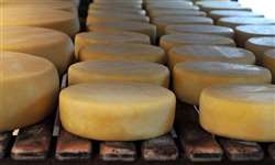 Selo Arte: regulação de queijos artesanais é assinada