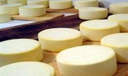 Rio Paranaíba e região ganham centro de qualidade do queijo minas artesanal