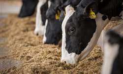 Manejo, nutrição e ritmo anual influenciam a produção e composição do leite