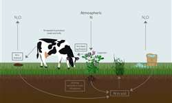 Nutrição de vacas em lactação e o manejo de resíduos