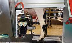 Ordenhas robotizadas e nutrição das vacas leiteiras
