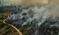 G7 libera R$ 91 milhões para Amazônia e anuncia apoio a plano de reflorestamento