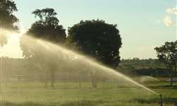 O que você deve avaliar na hora de comprar uma irrigação?