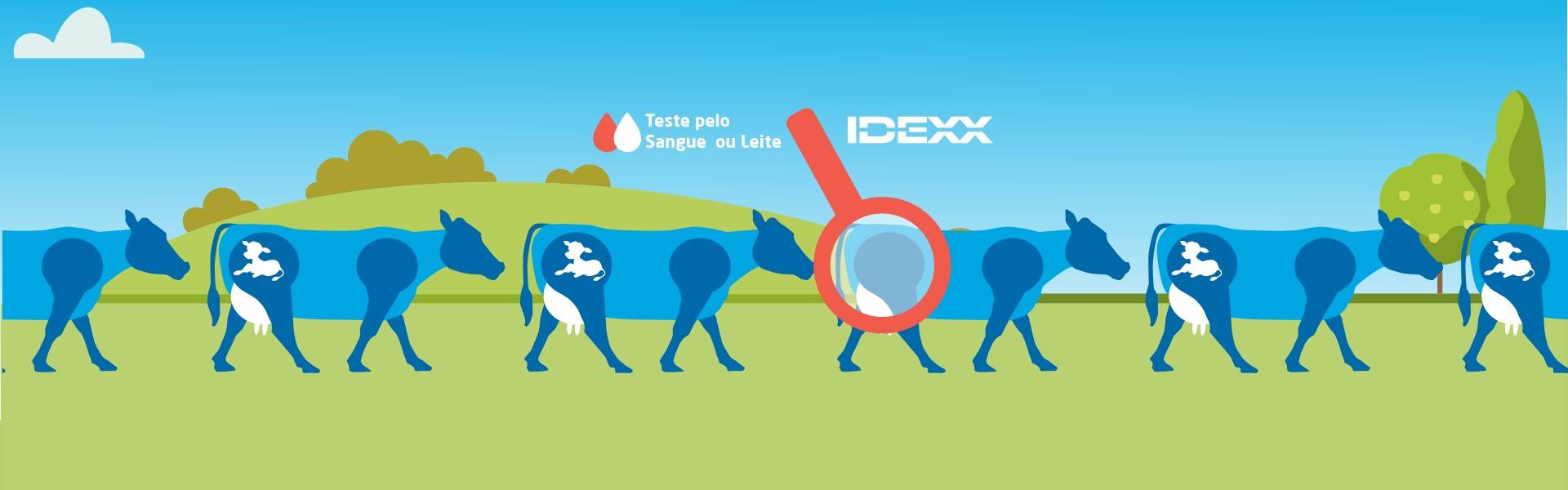 Menos vacas vazias e maior produção de leite com os testes de prenhez Alertys, da IDEXX