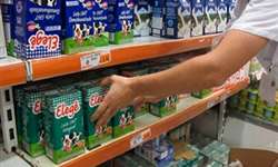 Procon do Rio libera venda de leite Elegê integral e semidesnatado