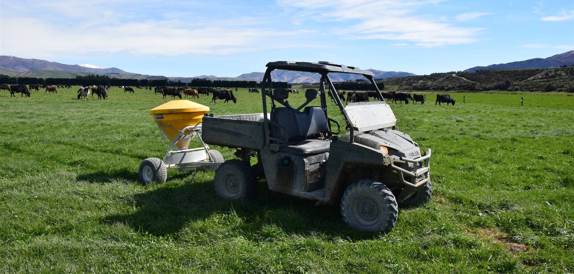 'Dusting': estratégia para diminuir o índice de doenças metabólicas do pós-parto na NZ