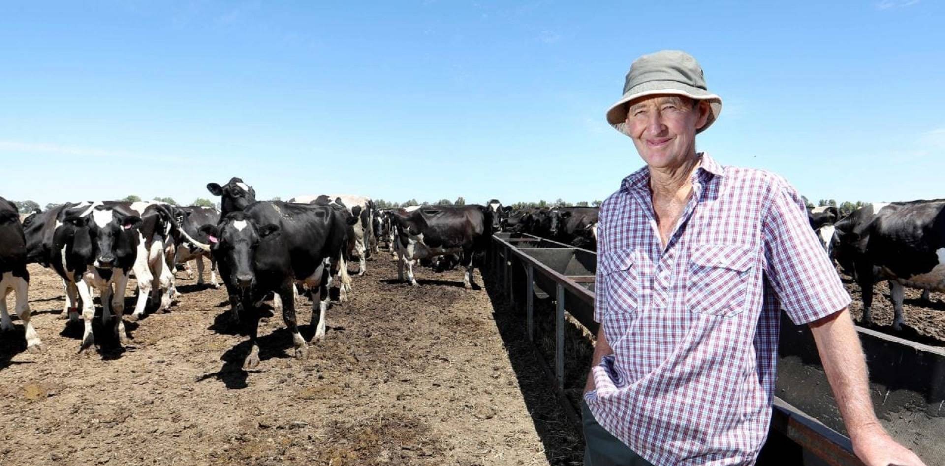 Dairy Vision 2019: 'precisamos de narrativas positivas para o setor lácteo'