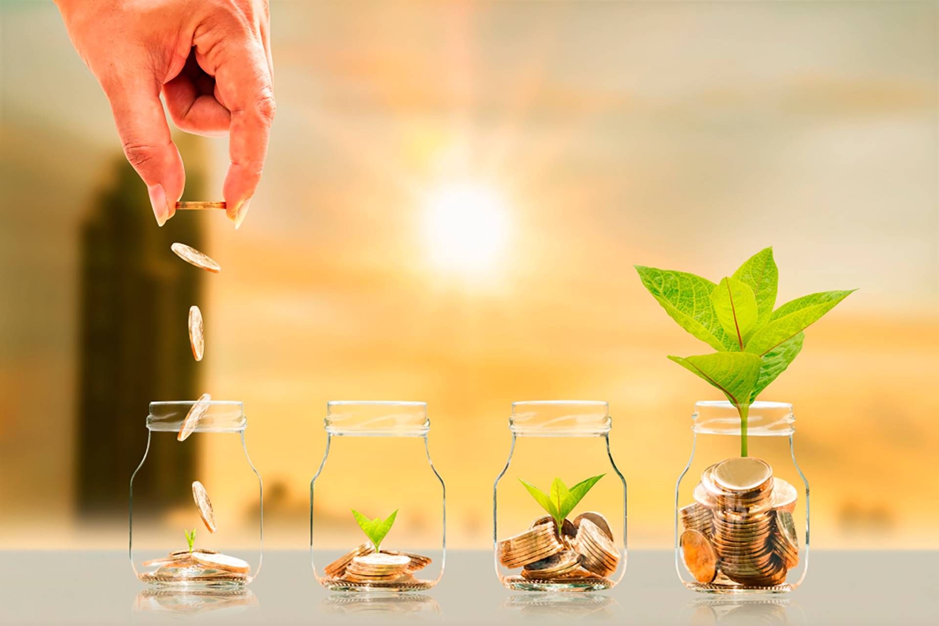 Perfil investidor: Como é você no mundo dos investimentos