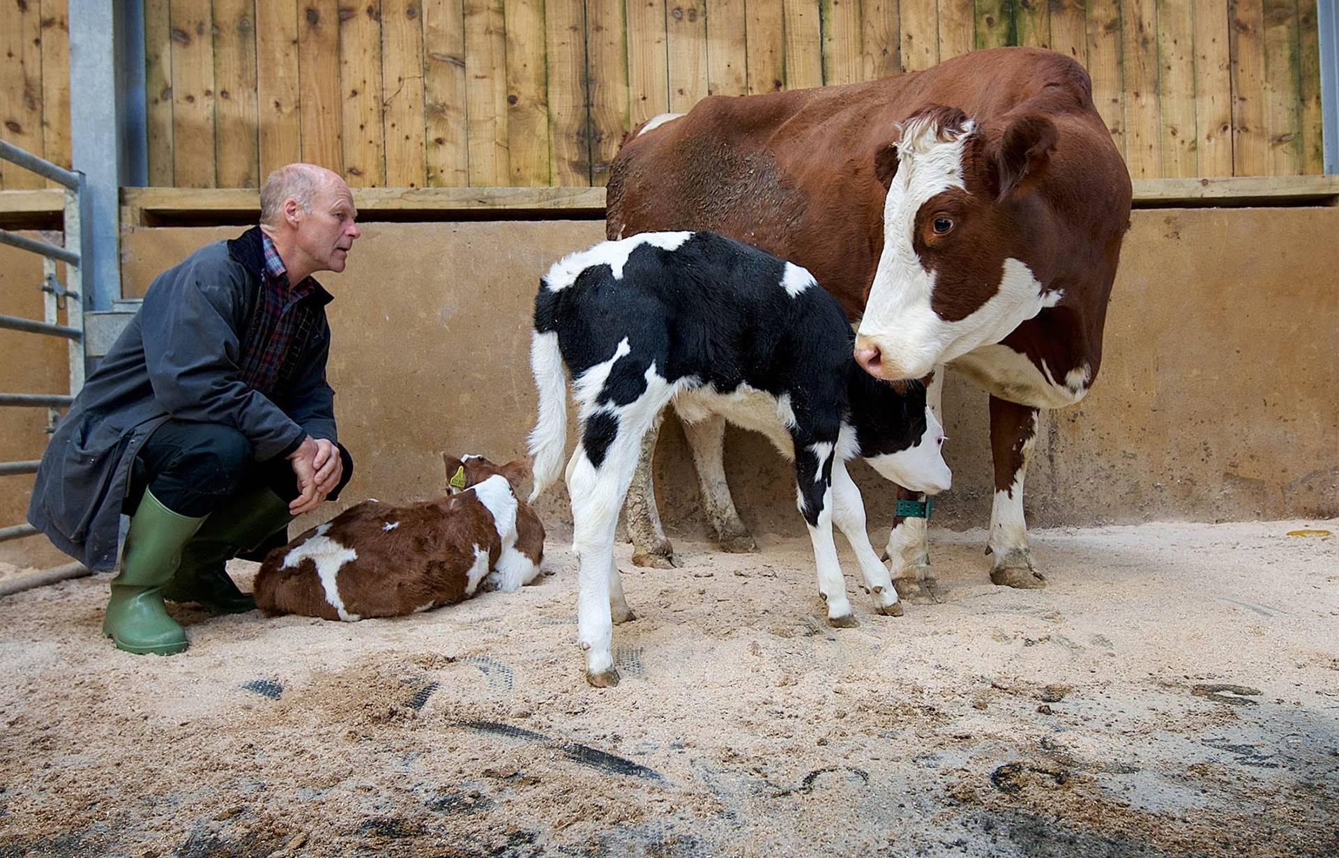 Dairy Vision, small is beautiful: afinal, quais são as oportunidades para o pequeno produtor?