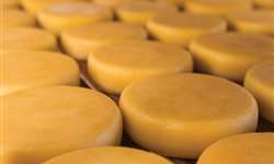 Como produtores do queijo da Canastra preservam um conhecimento ancestral