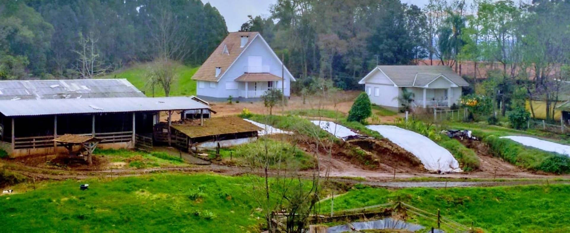 Especial Região Sul, Fazenda Cantele: 'investimos em viabilidade econômica e redução de mão de obra'